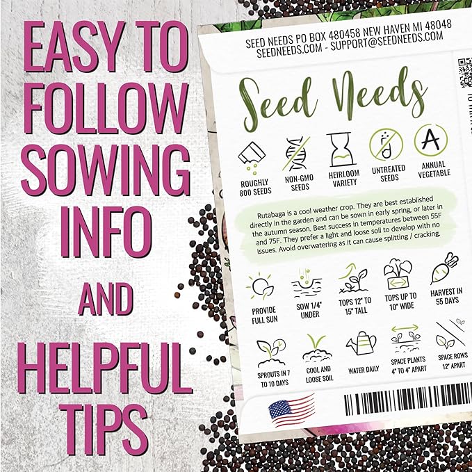 Seed Needs Turnip Seeds for Planting Purple Top White Globe Turnips - Non-GMO Heirloom & Untreated Vegetable Seed to Plant & Grow an Outdoor Home Grown Veggie Garden (1 Pack)