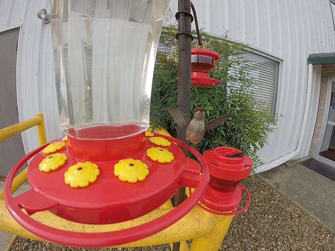 First Nature 3090 32-ounce Hummingbird Flower Feeder