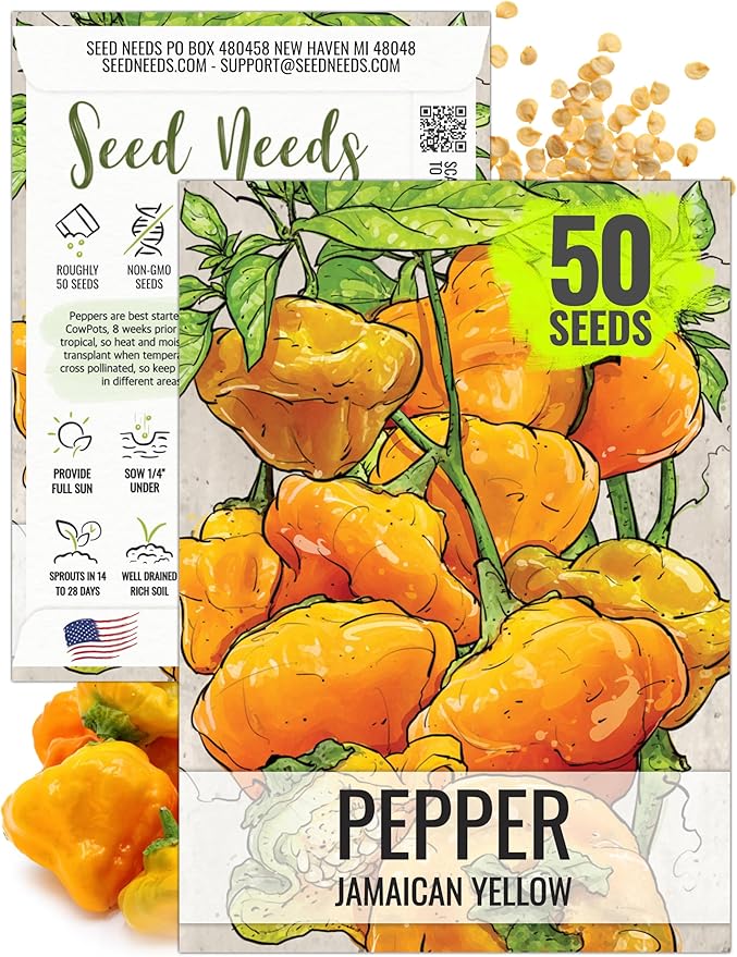 Seed Needs Hot Pepper Seeds for Planting Jamaican Yellow Chile Peppers - Non-GMO Heirloom & Untreated Vegetable Seed to Plant an Outdoor Home Grown Veggie Garden (1 Pack)