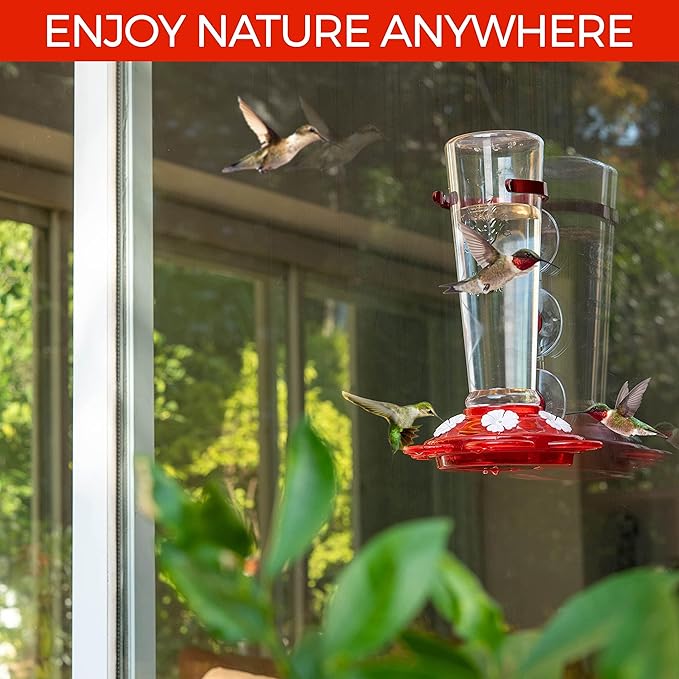 Large Leak Proof Window Hummingbird Feeders for Outdoors Hanging - Wasp and Bee Proof - Window Hummingbird Feeder for Outdoor - Window Mount
