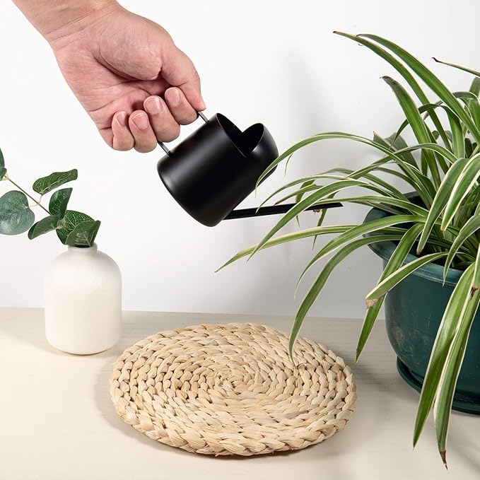 IMEEA Mini Watering Can for Indoor Plants Stainless Steel Small Watering Can 11oz/300ml