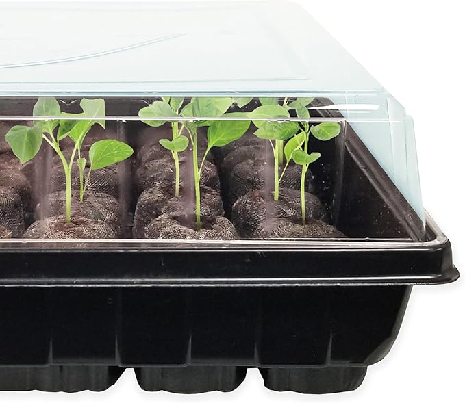 Ferry Morse Jiffy Seed Starter Tray Kit - 50 Cell, Bonus SUPERthrive, Plant Labels - 2 Pack - Peat/Plastic