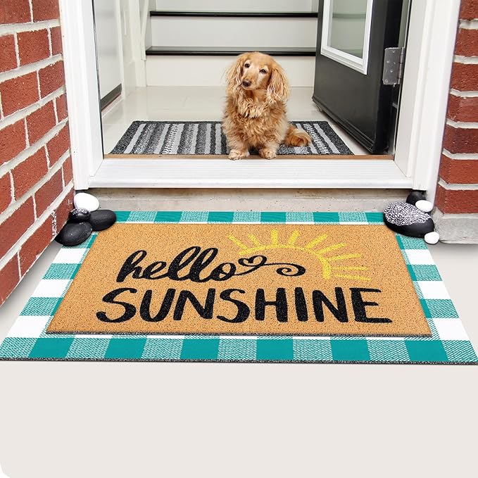 Tinideya 2 Pcs Summer Door Mat Non Slip Wildflower Coastal Hello Sunshine Sweet Home Ocean Pet Welcome Floor Doormat Buffalo Plaid Checked Stripe Mat Seasonal for Front Porch Entryway(Sunshine)