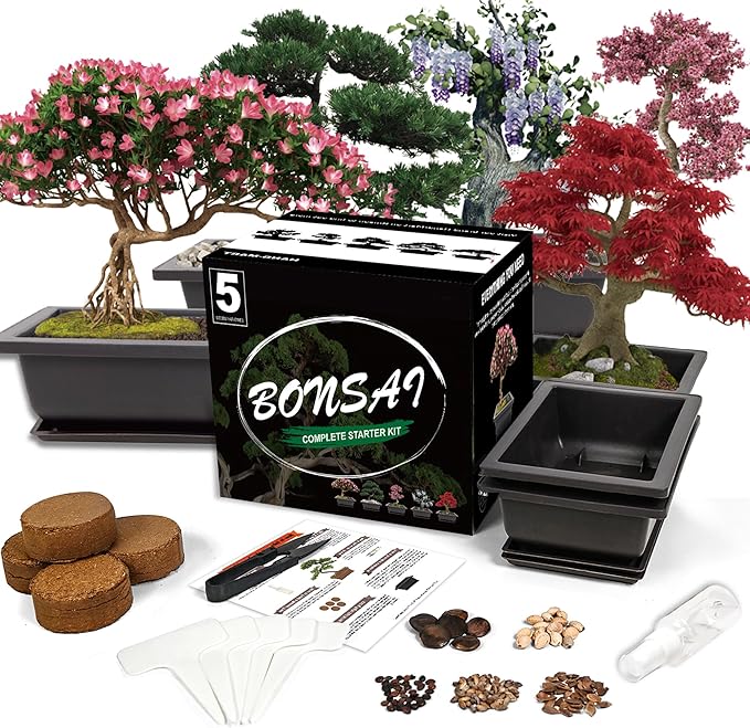 Bonsai Starter Kit, 5 Seeds Growing into Acacia, Wisteria, Sakura, Red Maple and Black Pine, Including Complete Gardening Tools with A Gift Box for Men Women Beginners