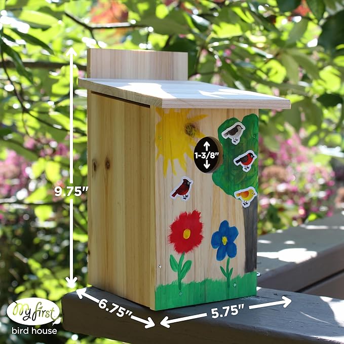 Nature's Way Bird Products DIY First Viewing Window Garden-Bird-House, Wood