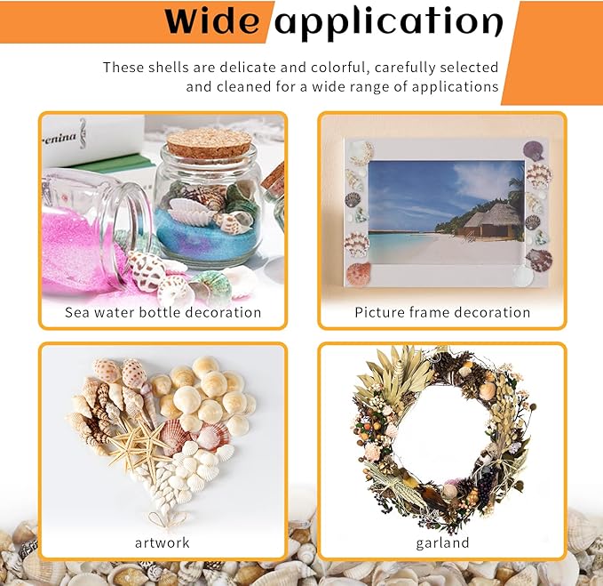 200 Pcs Sea Shells Bulk Mixed Ocean Beach Seashells for Kids, Various Sizes Natural Sea Shell for Crafts, Home Decorations, Beach Theme Party, Wedding Decor, DIY Crafts, Crafting Shells