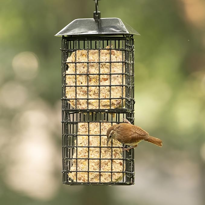 Wild Wings Metal Suet Cage Feeder for Outdoor Décor Wild Bird Feeders, 4 Suet Cakes Capacity, Hanging Suet Feeder, Black