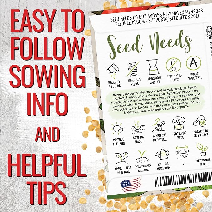Seed Needs Hot Pepper Seeds for Planting Serrano Chile Peppers - Non-GMO Heirloom & Untreated Vegetable Seed to Plant an Outdoor Home Grown Veggie Garden (2 Packs)