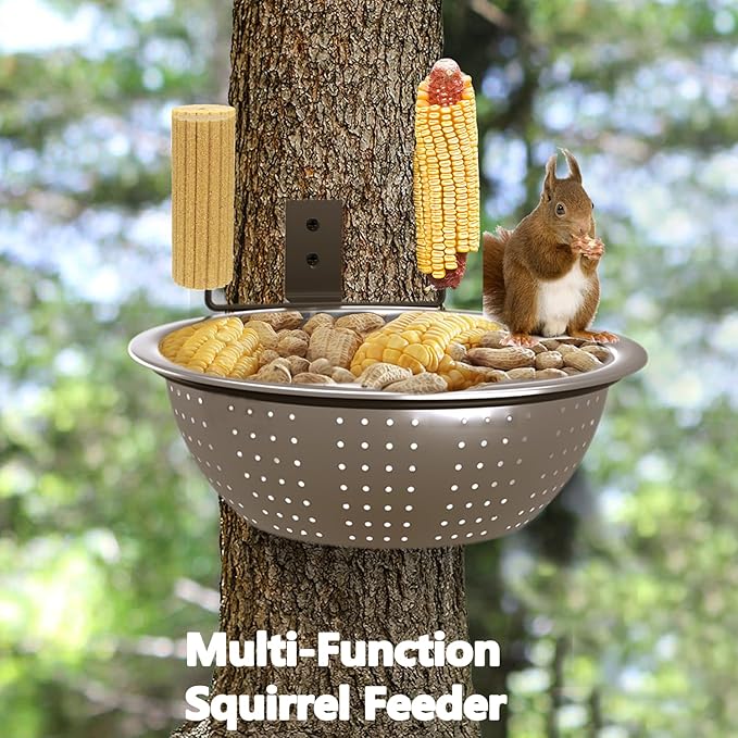 2 Pack 8.5" Squirrel and Bird Feeder for Outside Tree/Fence, Removable Metal Bowl Feeder with Drainage Holes, Adding 1 for Squirrel Watering or Bird Bath/Swim, Sturdy Easy Clean Feeders for Outdoor