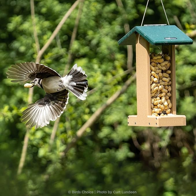 Birds Choice Whole Peanut Bird Feeder for Blue Jays and Woodpeckers - Durable Recycled Material, Taupe w/ Green, 7"L x 10.50"W x 14.75"H, Made in USA