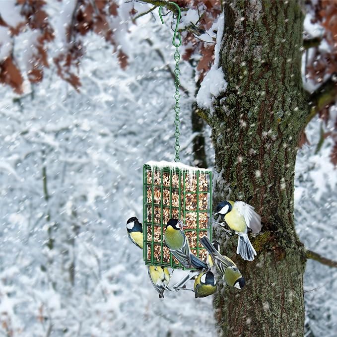 Bird Feeder for Outdoors, 2 Pack Suet Feeder Hanging Bird Feeder, Hanging for Garden Yard Outside - Suet Cake Feeders fo Attracting Birds