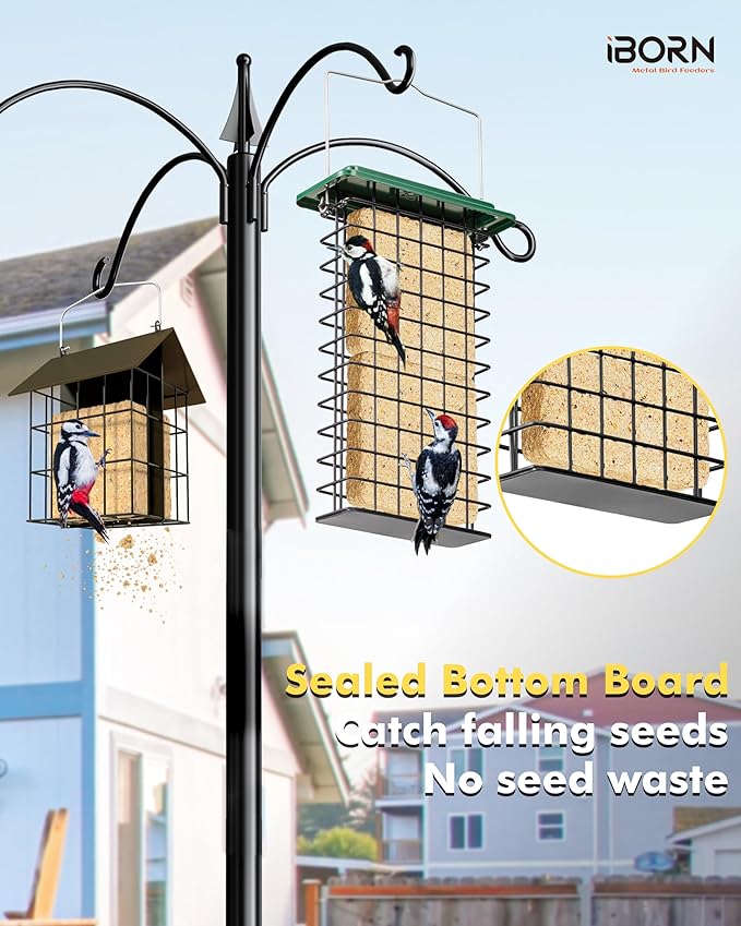 iBorn Metal Double Suet Feeder,Durable Suet Cake Cage Bird Feeder for Outdoors Hanging，Metal Roof Bird Feeder with Taller Grid for Woodpeckers,Large Suet Holder,Easy Clean & Refill,1 Pack,Green