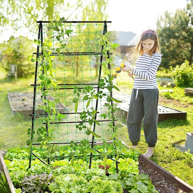 Lalahoni Garden Trellis for Climbing Plants Outdoor, 31.5x70.8 inch Metal A-Frame Cucumber Trellis Raised Bed, Climbing Plant Support Vine Fruit Flower Vegetable Tomato Peas Bean Trellis, with Netting