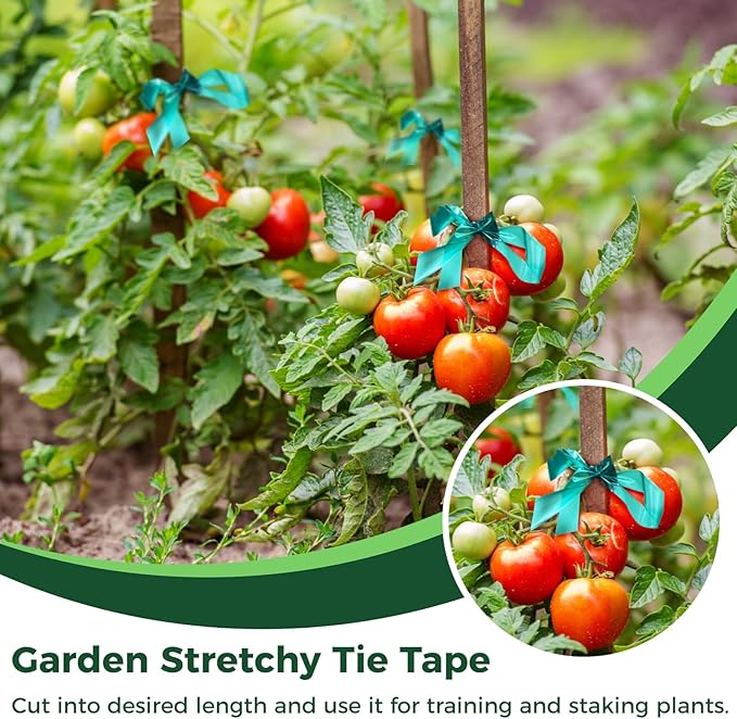Homaisson 24 Rolls Stretch Tie Tape, 147.6 Feet 0.5 Inch Garden Tie Tape, Garden Vinyl Stake, Stretchy Soft Vinyl Tape for Indoor Outdoor Plants, Patios, Vegetable Fields, Orchards