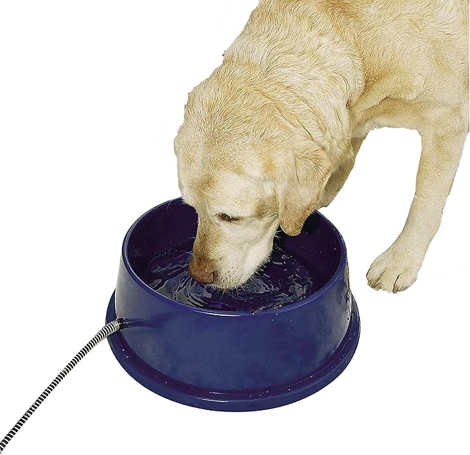 K&H Pet Products Thermal-Bowl Outdoor Heated Cat & Dog Water Bowl Blue 96 Ounces