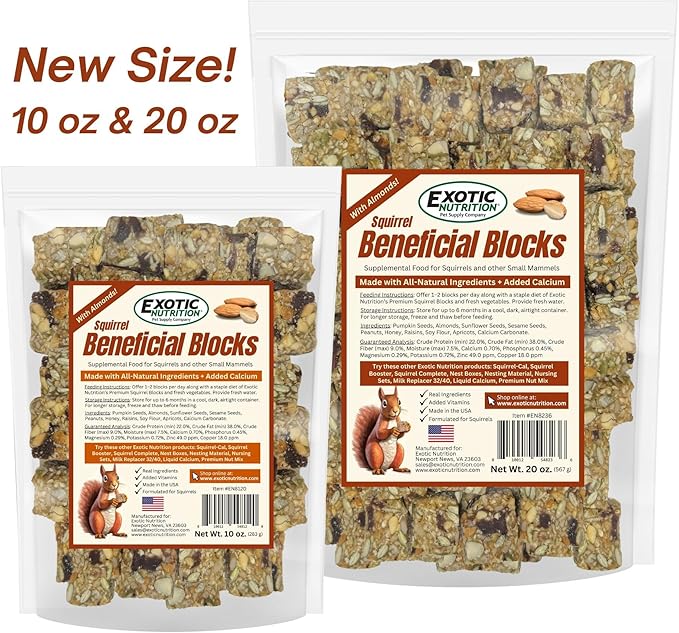 Exotic Nutrition Squirrel Beneficial Blocks - Healthy & Unique Supplemental Food with Nuts & Seeds, 20 oz