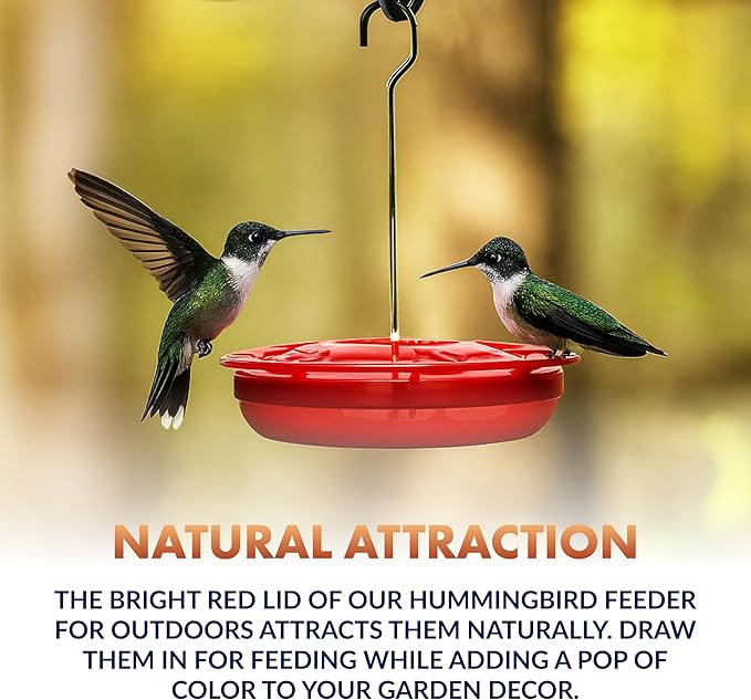 Newhouse Pet Hummingbird Tray Feeder NHP-HUMTRY-RD, Hummingbird Feeder for Outdoors, Easy-to-Clean Leak-Proof and Ant-Proof Tray for Patio Decor or Outdoor Décor