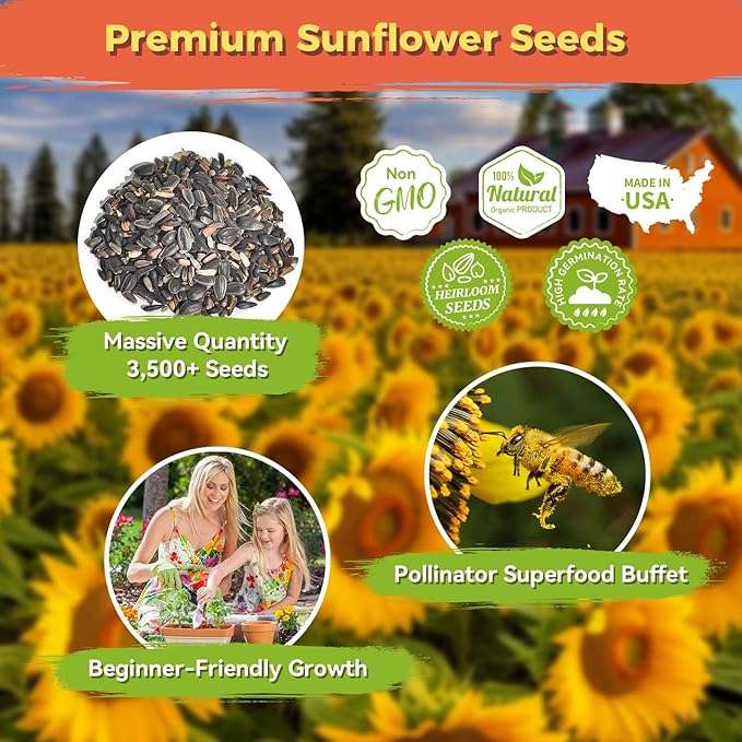 Sunflower Seeds for Planting | 3000+ Giant Mammoth Heirloom Bulk Seeds in 2oz Packet | High Germination, Open Pollinated, Attracts Pollinators for Home & Outdoor Gardens