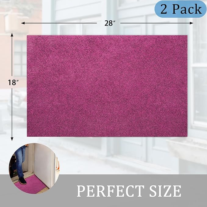 AAZZKANG Set of 2 Purple Doormat Outside Inside Utility Floor Mat Quickly Absorb Mud Anti Slip Rubber Door Mat for Home,Garden,High Traffic Areas Decorative