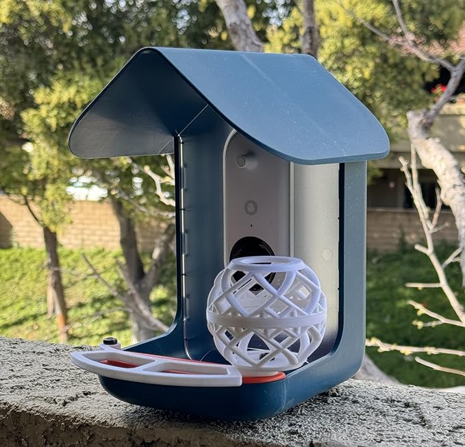 Perch, Suet Ball Holder & Mounting Screws Bundle for Bird Buddy - Compatible with Bird Buddy Smart Feeder for Enhanced Watching Experience