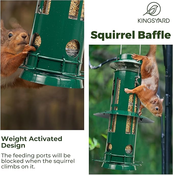 Kingsyard Squirrel Proof Bird Feeder for Outdoors Hanging, Metal Wild Bird Feeders with Removable Base and Baffle, Easy to Clean & Refill, 3 lbs Large Seed Capacity, Dark Green