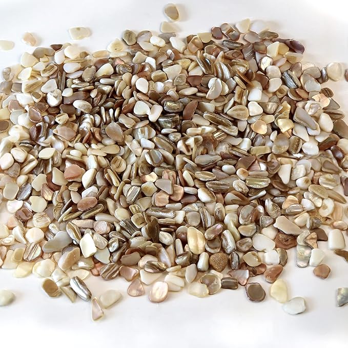 QICQDRAM Crushed Shells for Crafts About 1LB (405g/14.28oz) Small Natural Crushed Shells Bulk for Crafts DIY Beaching Wedding Decoration Vase Fillers (Natural Color)