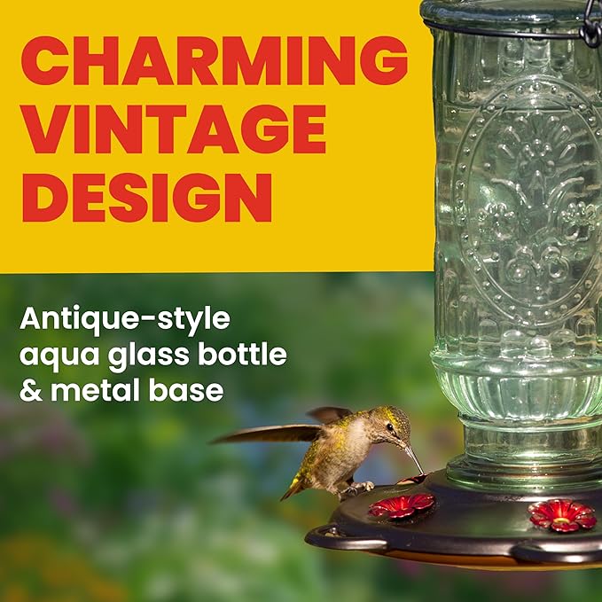 More Birds Vintage Hummingbird Feeder, Antique Glass Bottle, 5 Feeding Ports, 20-Ounce Nectar Capacity