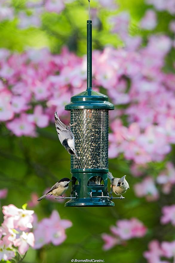 Squirrel Buster Standard Squirrel-Proof Bird Feeder w/4 Metal Perches,1.3-Pound Seed Capacity,Garden Green,(Pack of 4)