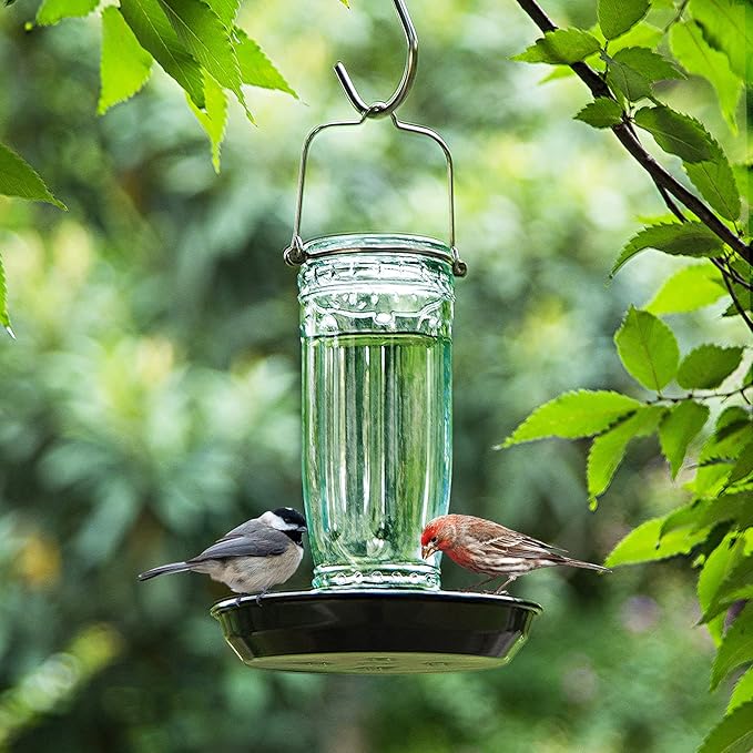Kingsyard Glass Bird Water Dispenser for Outdoor, 16 Oz, Bird Water Feeder with Metal Hanging for Garden Yard Fence Decoration Hummingbird Cardinal Bluebird Finch, Green