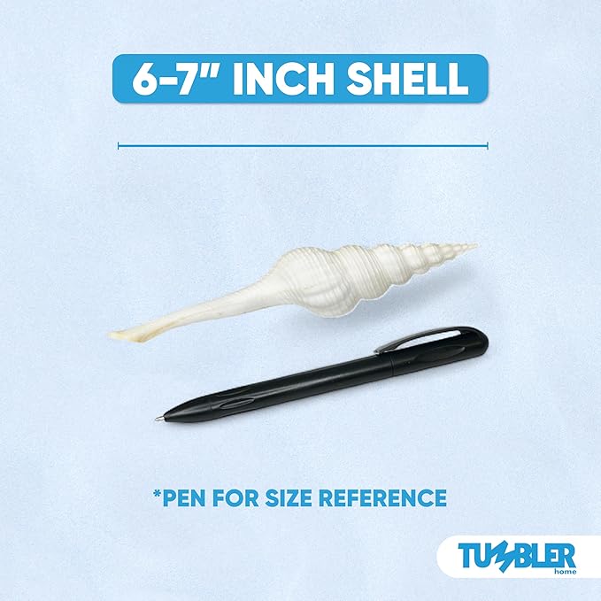 Tumbler Home Large Conch Sea Shells for Decorating or Fish Tank, Coastal & Nautical Decor, Air Plant Holder, Aquarium Ornaments, Big Sea Shell, Decorative Seashells, Beach Party Decor (Spindle)