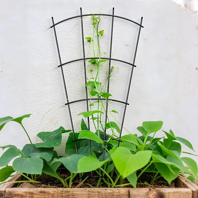 4 Pack 43'' Indoor Plant Trellis for Potted Plants Climbing Outdoor Metal Garden Trellis Houseplants Flowers Vine Ivy,Fan Shape, Black