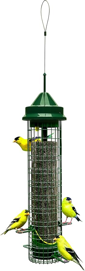 Squirrel Buster® Nyjer® – Squirrel-Proof Nyjer®/Thistle 2.4-pound Seed Capacity Feeder w/8 Feeding Ports & 4 Perches, Easy Fill & Clean, Durable Outdoor Feeder for Finches, Goldfinches & Small Birds