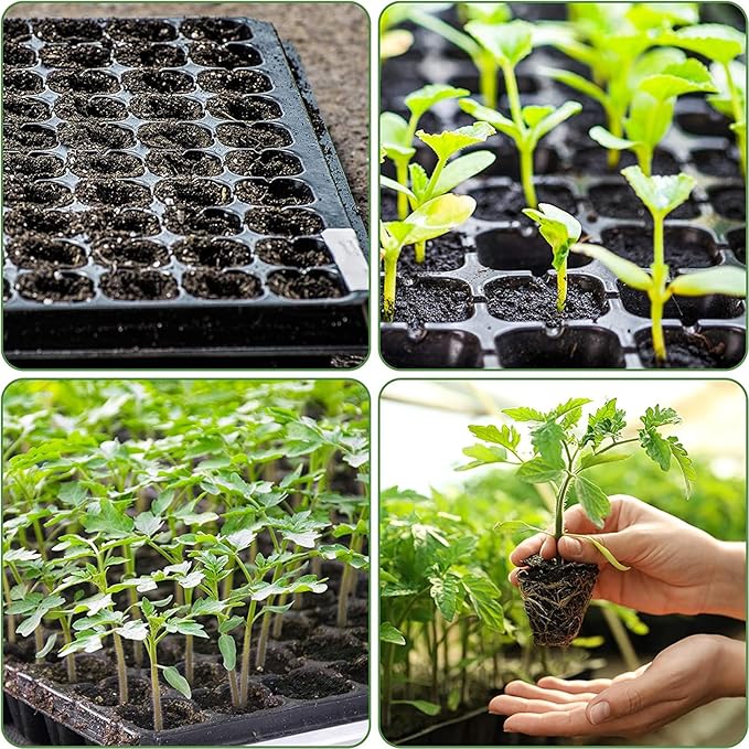 10-Pack Seed Starter Kit,72 Cell Seedling Tray Cell Seed Trays for Flat Trays Germination,Plastic Tray Nursery Pots Mini Propagator Plant Grow Kit Plug Tray Starting Trays for Seedling Germination