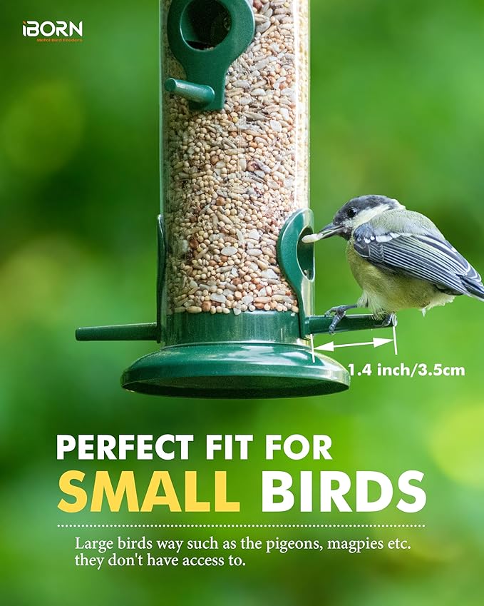 iBorn Metal Bird Feeders 6 Ports Hanging Wild Bird Seed Feeder for Mix Seed Blends, Seed Feeder, Sunflower Heart, Birdbath, Heavy Duty All Metal Green Finishing 15 Inch 6Port, Pack of 2,Gift Box