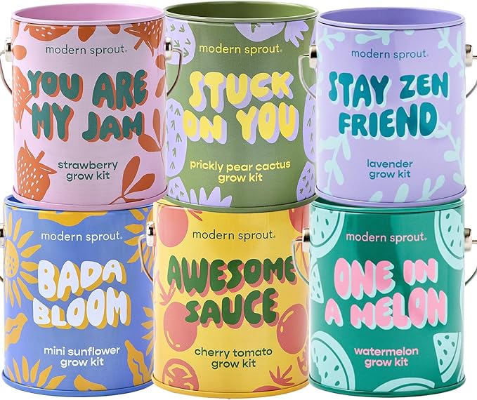 Modern Sprout Complimentary Color Grow Kits (Pack of 6) - Seed Starter Kit - Includes Strawberry, Sunflower, Cactus, Tomato, Melon & Lavender Seeds - Gardening Gifts that Grows with Love