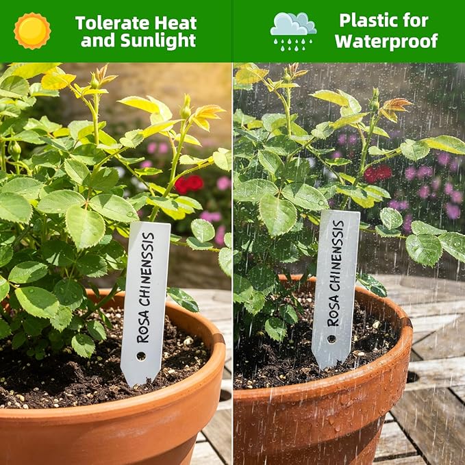 Plant Labels 350 PCS, Slim White Garden Plant Tags with Holes, PP Plastic Waterproof Labels with Permanent Marker, Jute Twine & Storage Box for Indoor & Outdoor Gardening (350PCS)