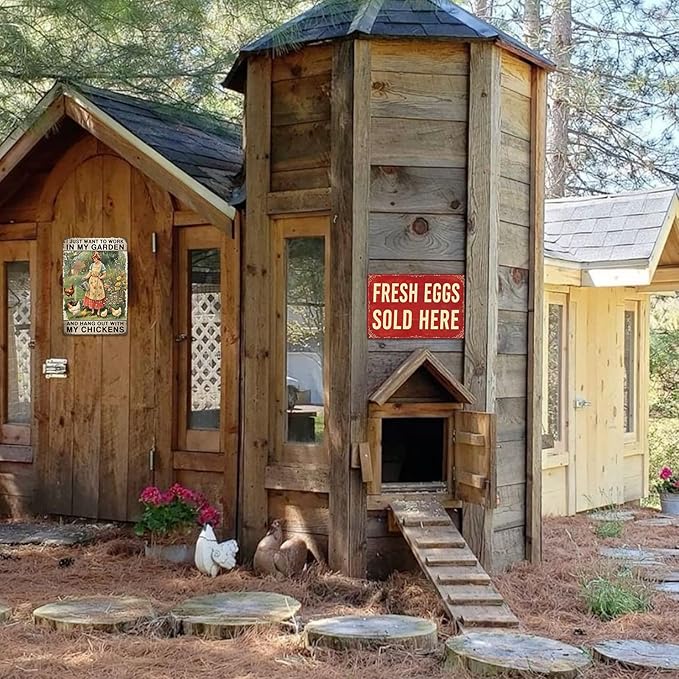 Fresh Eggs Metal Sign Farm Stand Signs Chicken Coop Decor Farmers Market Decorations Fresh Eggs Sold Here Sign Chicken Tin Signs For Outside Farmstand Supplies Farm Outdoor Yard Signs 8x12 Inch