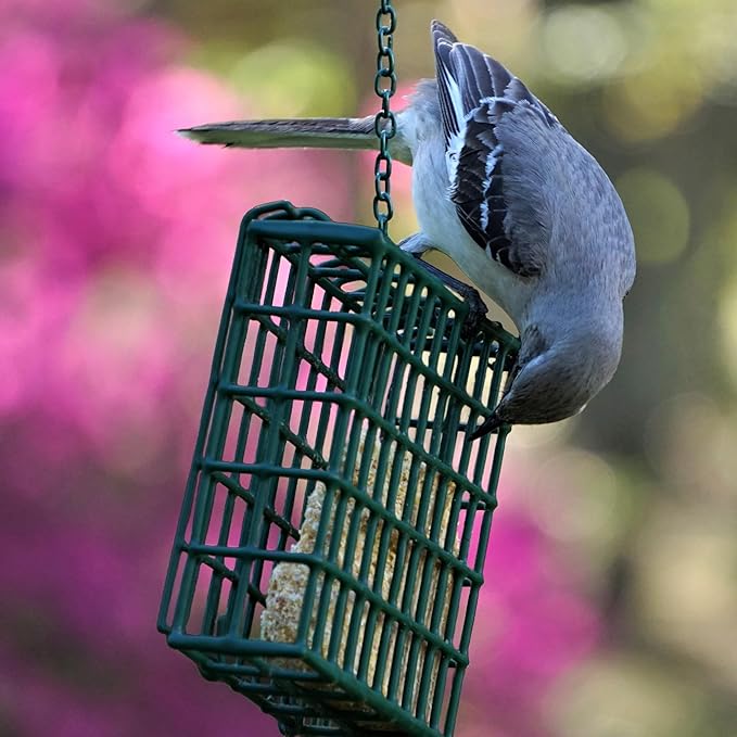 MEKKAPRO Suet Feeder for Outside Hanging with Metal Chain, Single Capacity Suet Holder, Bird Feed Recommended, Bird Feeder Ideal for Clinging Birds, Woodpeckers, Nuthatches (Single)