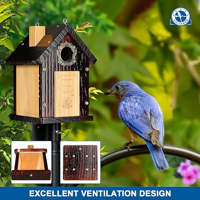 Pack of 2 Premium Bluebird Houses for Outside, All Seaons Bird Houses for Outside, Wooden Cabin Birdhouses for Outdoors, Weatherproof Courtyard Decorated Hanging Bird House