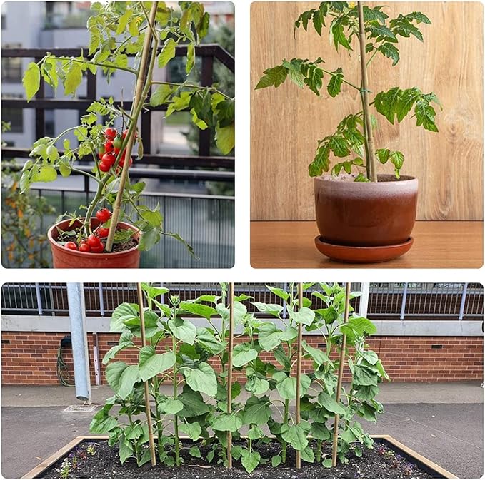 20pcs 5/8" D Thicker Heavy Duty Bamboo Stakes, 6FT Plant Stakes, Natural Garden Stakes for Tomato, Bean, Flowers,Trees Potted and Climbing Plant Support