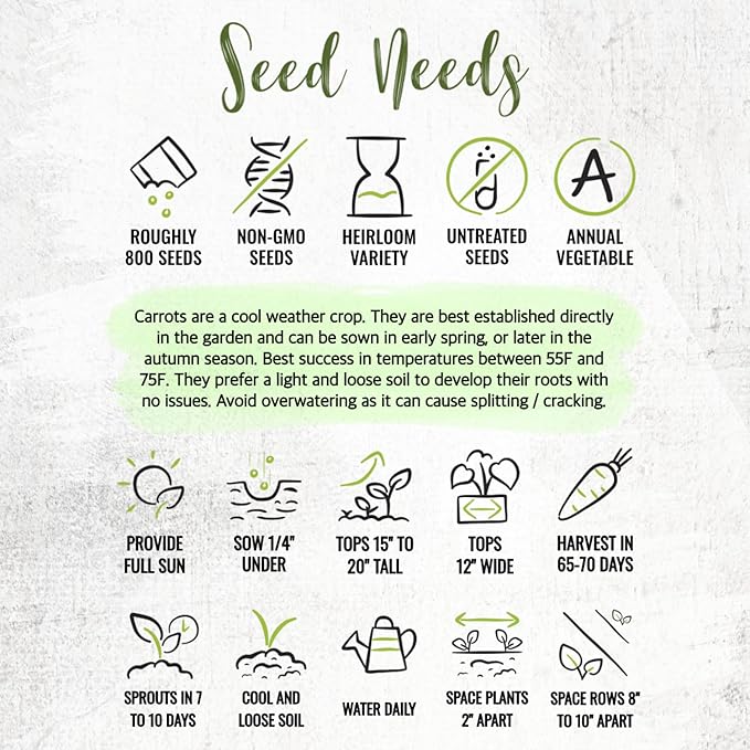 Seed Needs Carrot Seeds for Planting Rainbow Carrots - Non-GMO Heirloom & Untreated Veggie Seed to Grow a Home Grown Vegetable Garden in Fall or Spring (5 Packs)
