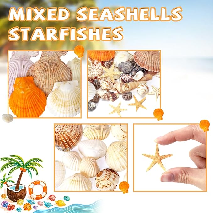 Mixed Sea Shells, 80+ Pcs Beach Seashells Starfish, Various Sizes Ocean Seashells for Fish Tank Vase Fillers, Beach Theme Party Wedding Decor, Candle Making, DIY Crafts
