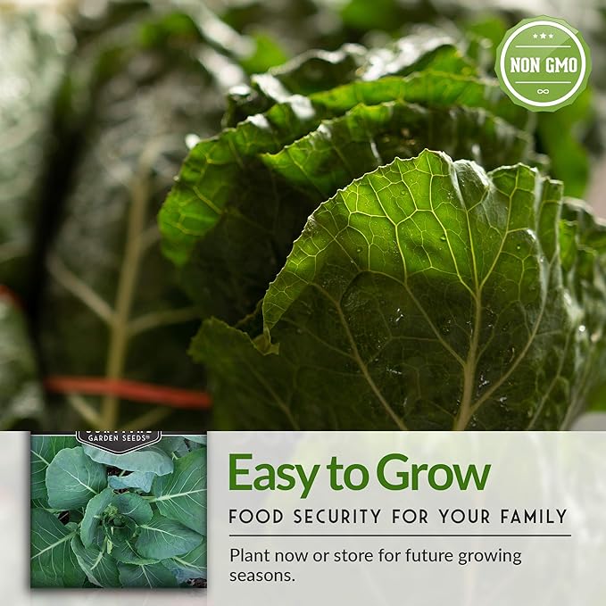 Cool Weather Garden Seeds Collection | Fall & Spring Planting – Grow Broccoli, Kale, Lettuce, Spinach & Cilantro | Cold Hardy Winter Vegetables – Survival Garden Seeds