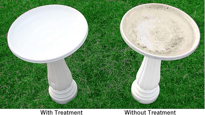 Birdbath & Fountain Protector 95566, 16 oz. for Clean and Clear Water, 16 Fl Oz (Pack of 1)