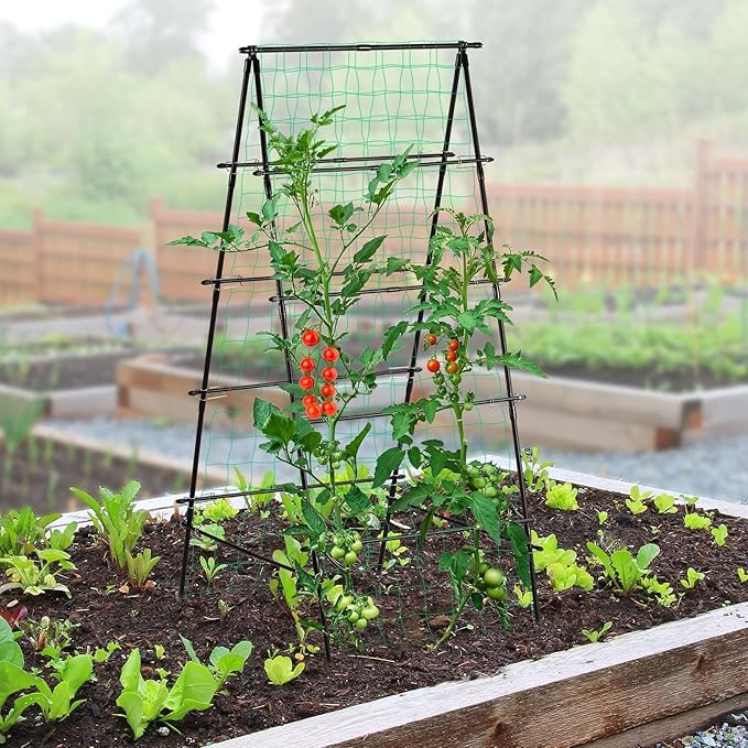 Garden Trellis for Climbing Plants, 71" H x 32" W Metal A-Frame Cucumber Trellis Outdoor Fruits Watermelon Vegetable Tomato Squash Peas Beans, with Netting, Black