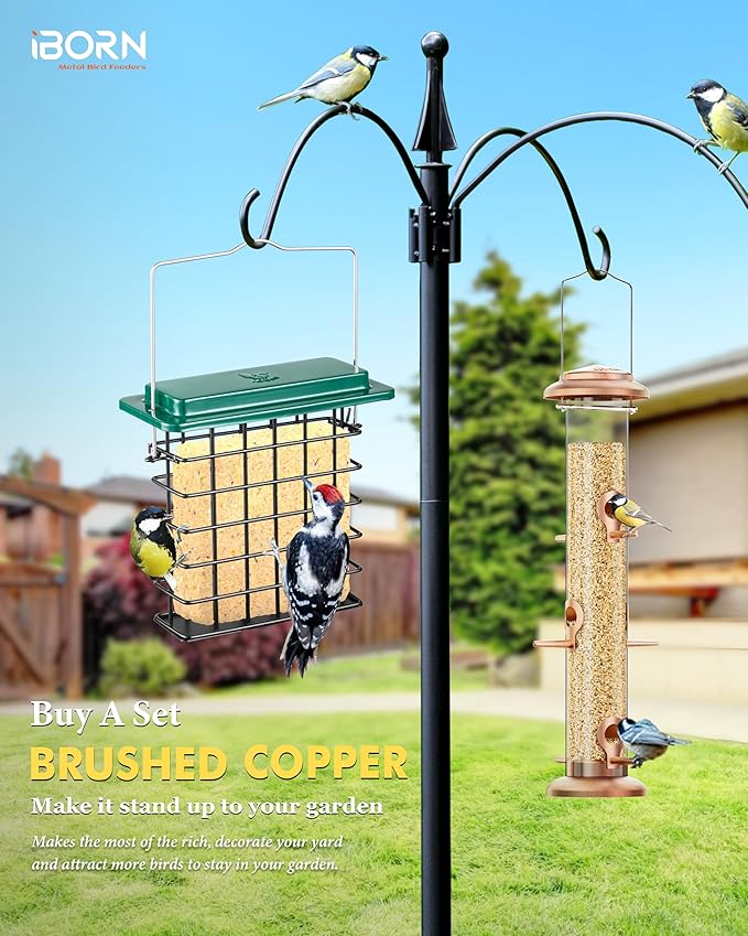 iBorn Suet Feeder Suet Bird Feeders [Single Capacity] for Outside Hanging with Taller Grid for Woodpecker,Metal Green（Pack of 2）