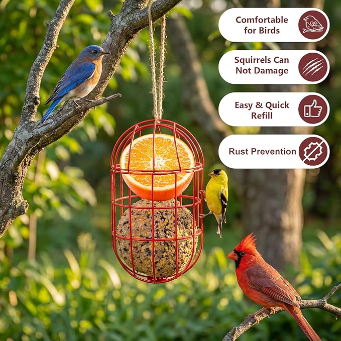 SheeChung Metal Suet Ball Holder Compatible with Bird Buddy,Birds Water Feeder for Outdoor,Smart Feeders Replacement Part with 5mm Screw Hole,2-in-1 Nutrition Set for Bird Feeders,Easy to Clean&Refill