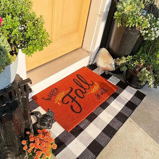 SEEKSEE Cotton Buffalo Plaid Rug 27.5"x43" Black and White Checked Rug Washable Doormats Indoor Outdoor Rugs for Layered Front Door Mats, Porch, Kitchen, Farmhouse, Entryway