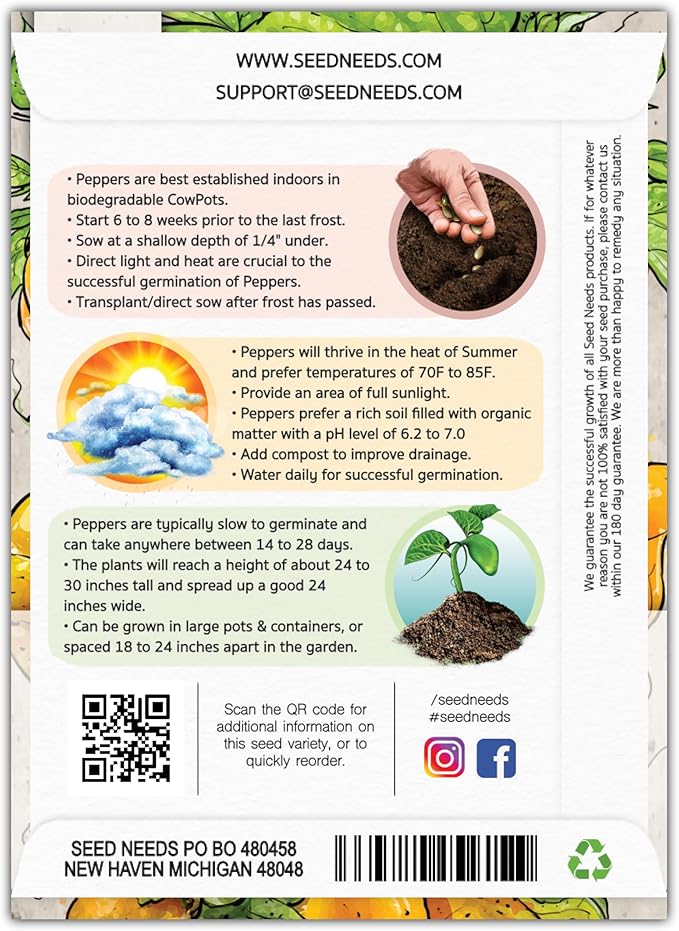 Seed Needs Hot Pepper Seeds for Planting Jamaican Yellow Chile Peppers - Non-GMO Heirloom & Untreated Vegetable Seed to Plant an Outdoor Home Grown Veggie Garden (2 Packs)