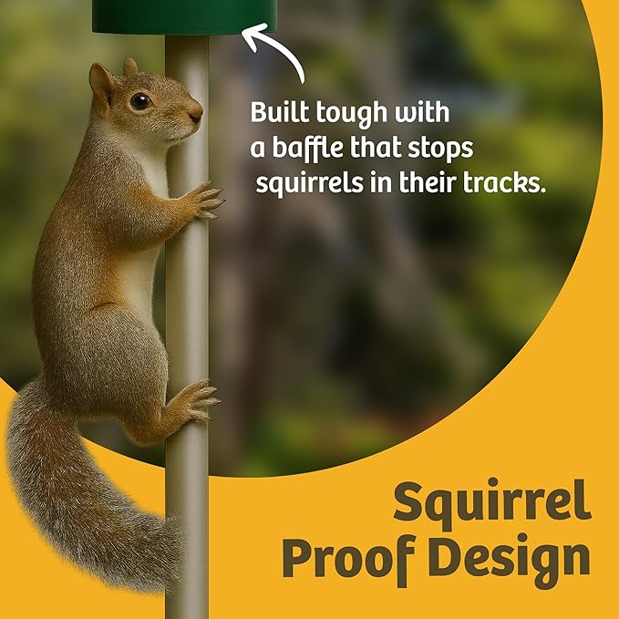 Birds Choice Classic Squirrel Proof Bird Feeder with Pole Mount | Tube Bird Feeder for Cardinals, Chickadees, Woodpeckers | Sturdy Steel for Long-Lasting Use | Backyard Bird Seed Dispenser | Green